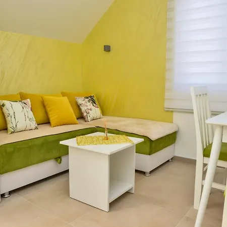 Apartment Milenkovic Soko Banja