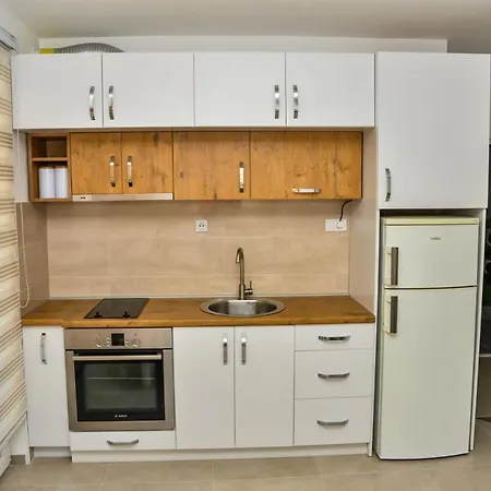 Milenkovic Apartment Soko Banja