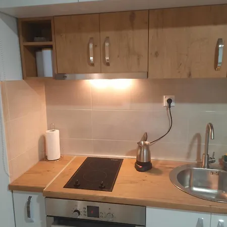 Milenkovic Apartment *